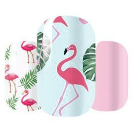 Flamingo Fever